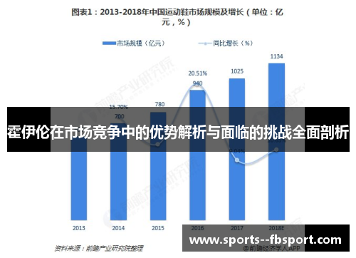 霍伊伦在市场竞争中的优势解析与面临的挑战全面剖析
